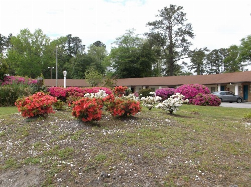 Azalea Inn & Suites image 21