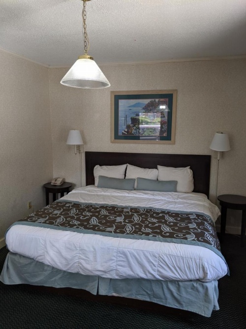 Azalea Inn & Suites image 8